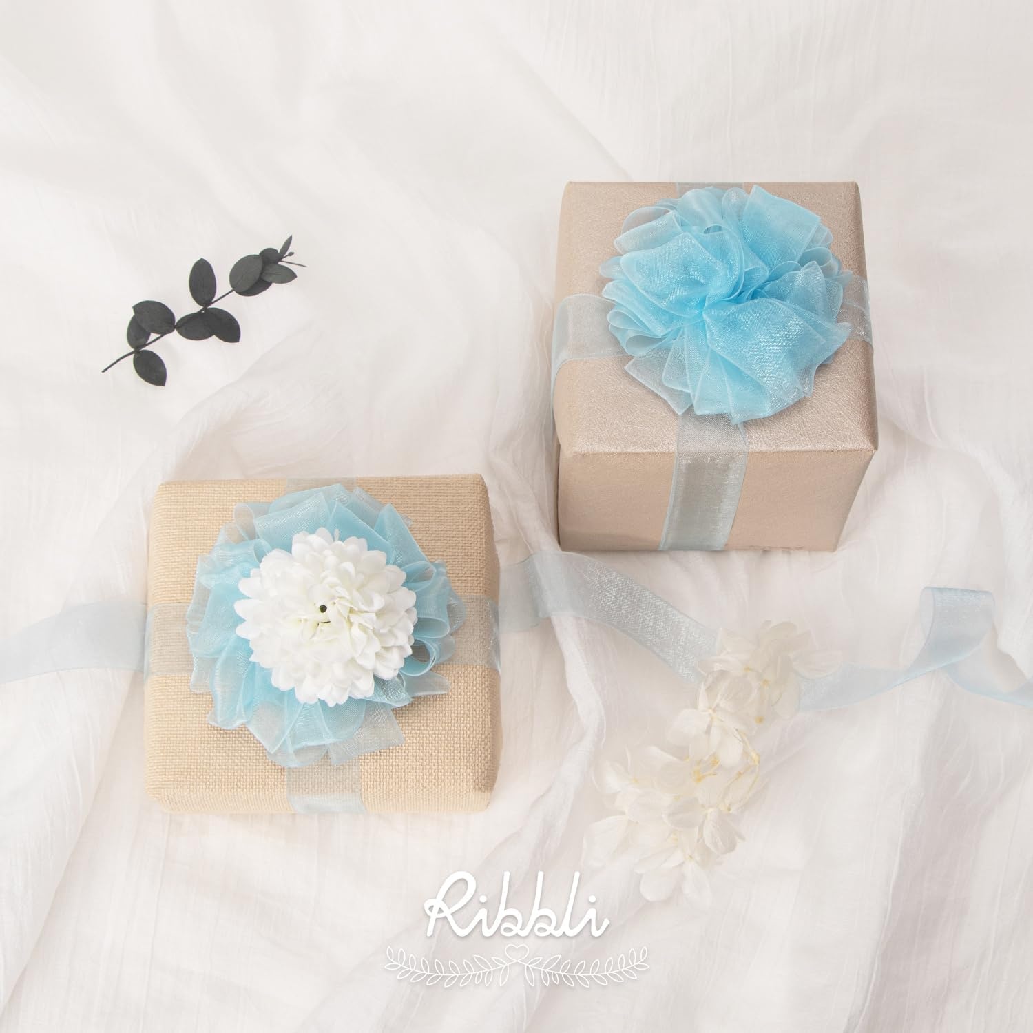 Ribbli Champagne Organza Ribbon,1/2 Inches x Continuous 50 Yard, Champagne Sheer Ribbon for Gift Wrapping,Cookie Wrapping,Wedding Decoration,All Crafting and Sewing(Light Blue)