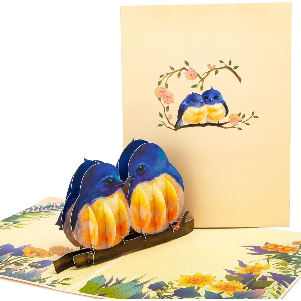 Ribbli Valentine’s Day Cards, 3D Pop Up Love Bird Card, Romantic Card, with Envelope