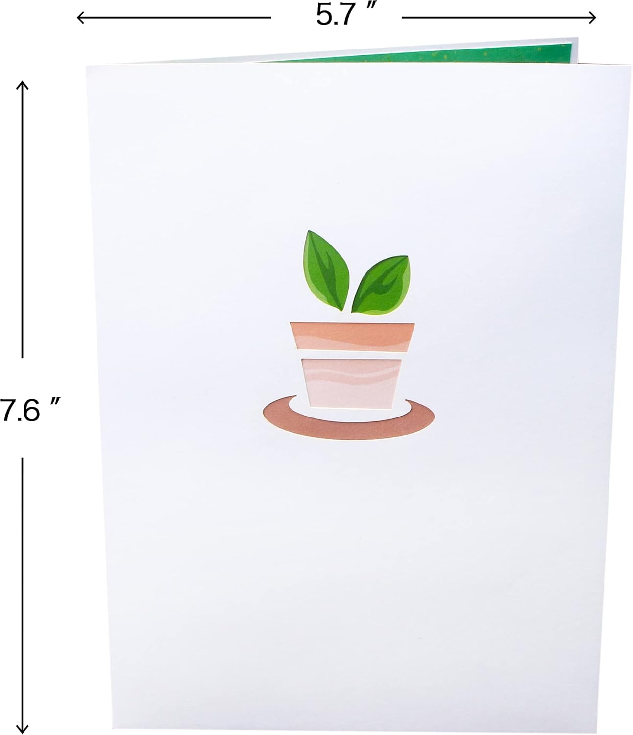 Ribbli Greenhouse 3D Greeting Pop Up Card for Birthday Mothers Day Valentines Day, 3D Pop Up Cards for Her Mom Wife Women Sister Grandma, with Envelope