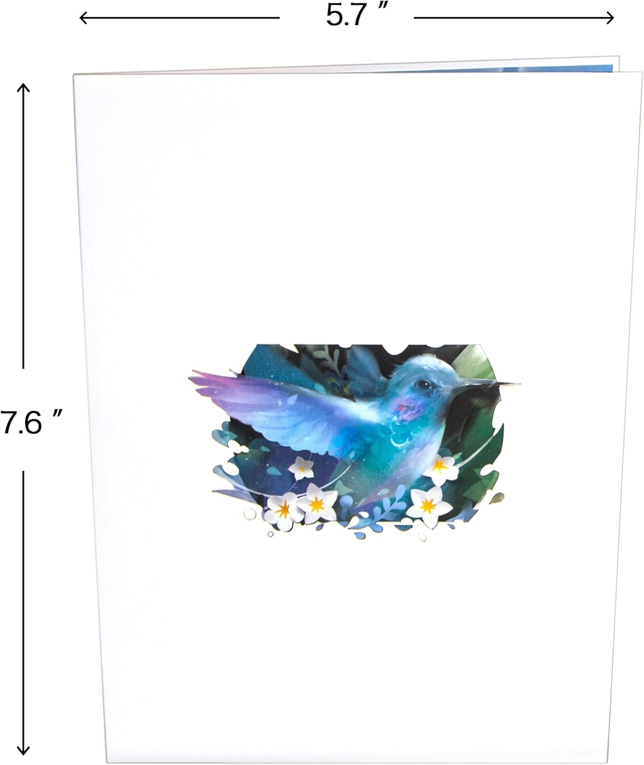 Ribbli Hummingbird Pop Up Card Birthday Cards Mothers Day Cards for Women Mom Wife Sister Daughter Grandma, Hummingbird Gifts for Bird Lover, with Envelope