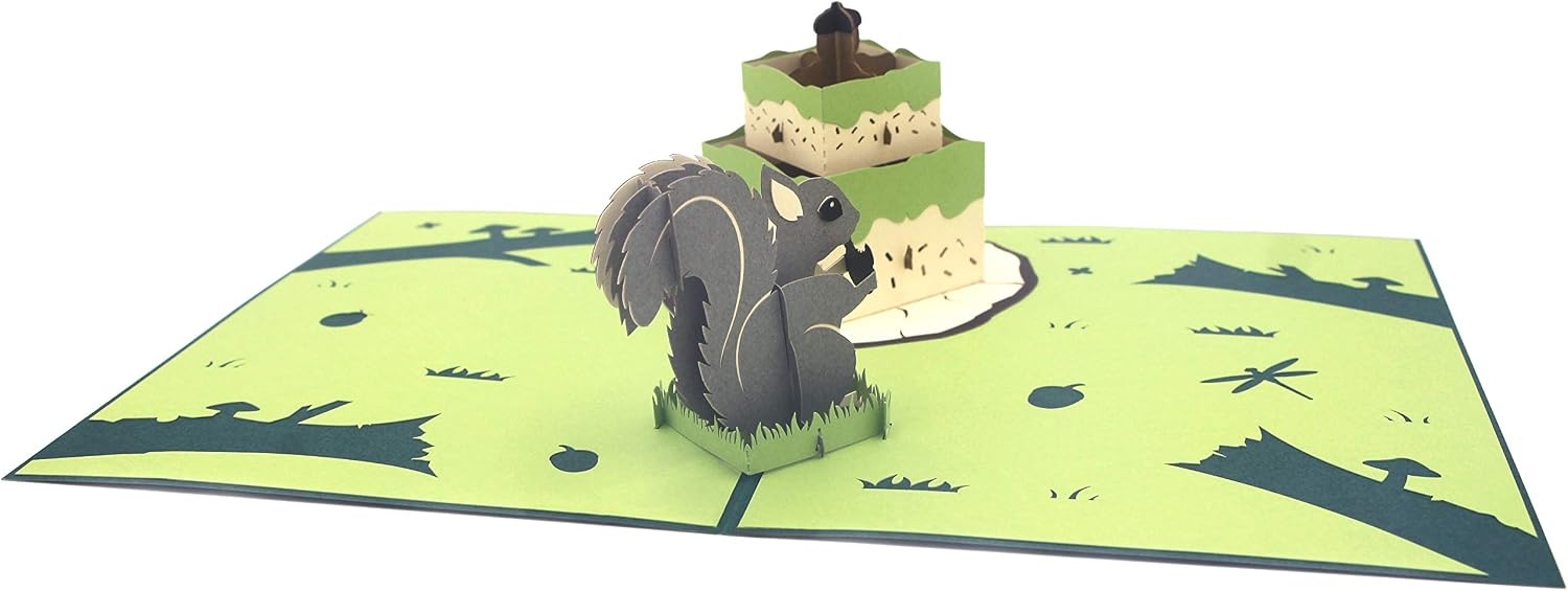 Ribbli Squirrel and Birthday Cake Pop Up Card Birthday Cards Handmade Pop Up Birthday Card for Men Women Kids, with Envelope