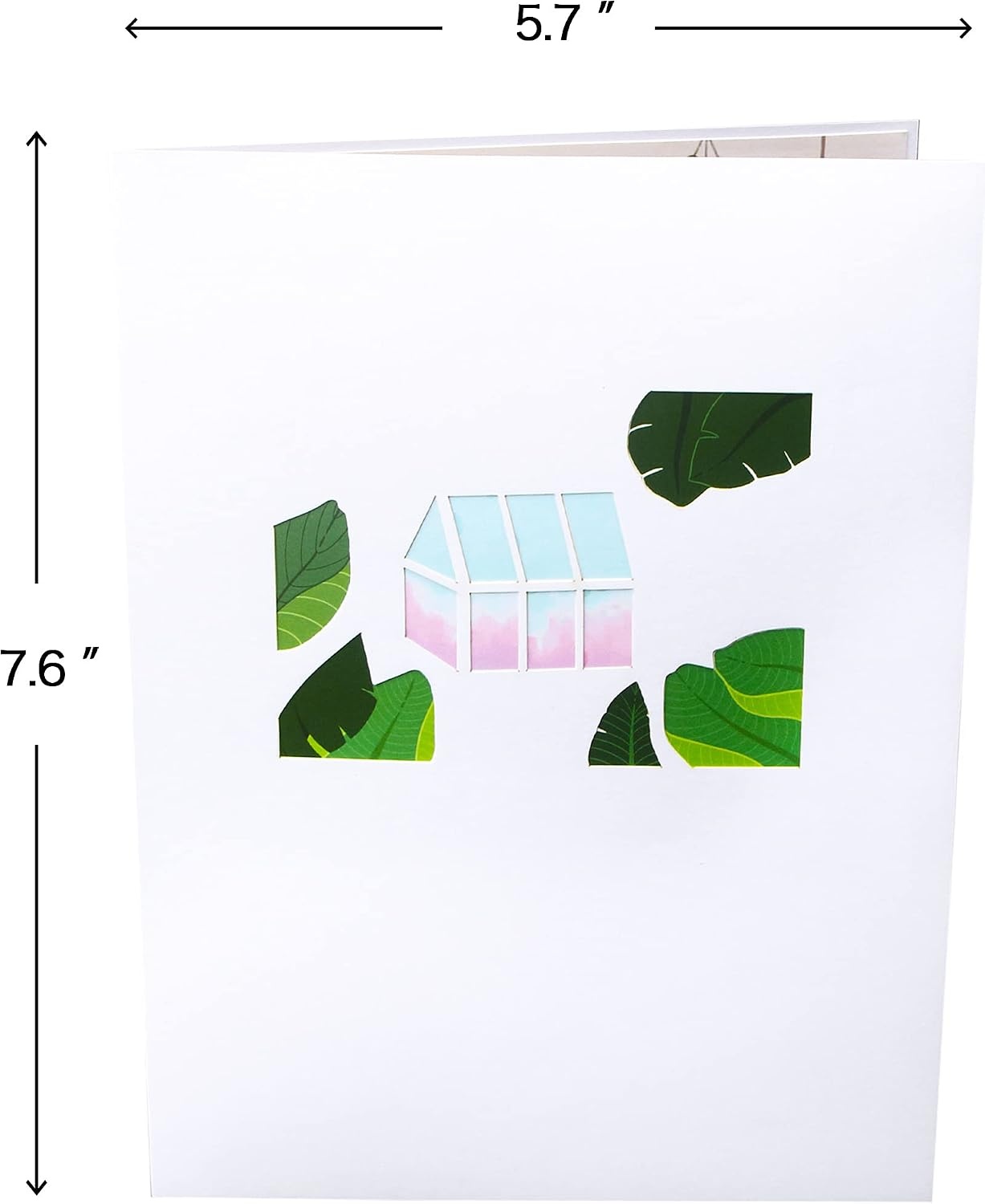 Ribbli Greenhouse Pop Up Card, Pop Up Birthday Card, Anniversary Card, Valentines Day Cards, Mothers Day Card, for Women Mom Wife Daughter Grandma Girlfriend Niece Girl, with Envelope