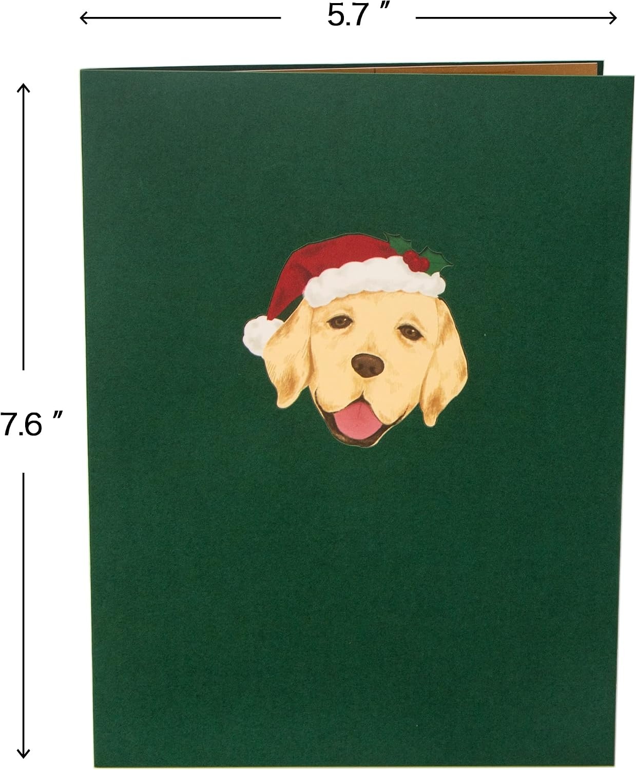 Ribbli Pop Up Christmas Card, 3D Greeting Card, Dog Christmas Card, Golden Retriever Card, Holiday Card, Merry Xmas Cards for Kids Mom Dad Son Daughter Grandson Granddaughter Wife, with Envelope